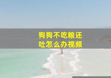 狗狗不吃粮还吐怎么办视频