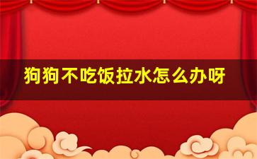 狗狗不吃饭拉水怎么办呀