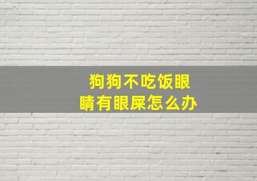 狗狗不吃饭眼睛有眼屎怎么办