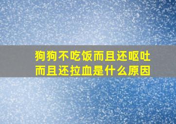 狗狗不吃饭而且还呕吐而且还拉血是什么原因