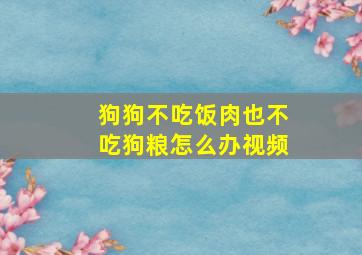 狗狗不吃饭肉也不吃狗粮怎么办视频