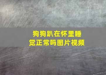 狗狗趴在怀里睡觉正常吗图片视频