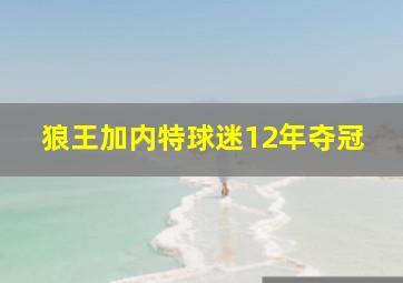 狼王加内特球迷12年夺冠