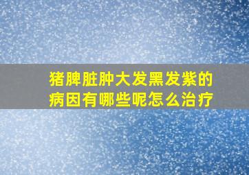 猪脾脏肿大发黑发紫的病因有哪些呢怎么治疗