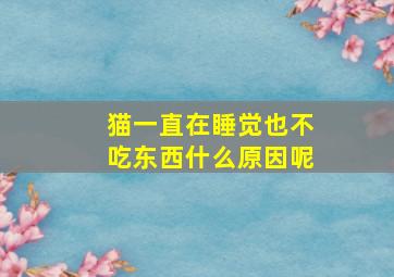 猫一直在睡觉也不吃东西什么原因呢