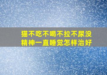 猫不吃不喝不拉不尿没精神一直睡觉怎样治好