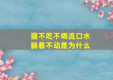 猫不吃不喝流口水躺着不动是为什么