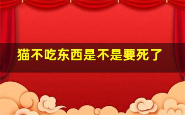 猫不吃东西是不是要死了