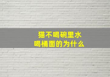 猫不喝碗里水喝桶面的为什么