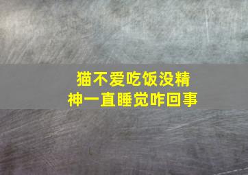 猫不爱吃饭没精神一直睡觉咋回事