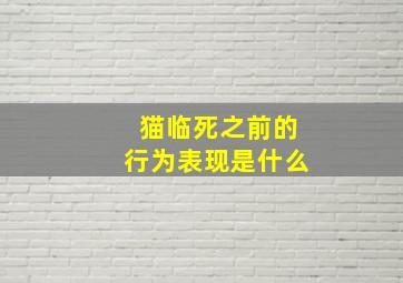 猫临死之前的行为表现是什么