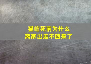 猫临死前为什么离家出走不回来了