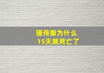 猫传腹为什么15天就死亡了