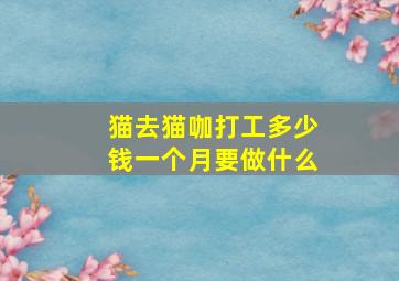 猫去猫咖打工多少钱一个月要做什么