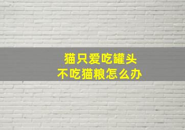 猫只爱吃罐头不吃猫粮怎么办