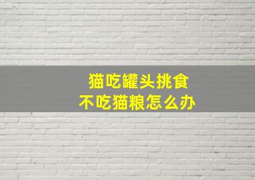 猫吃罐头挑食不吃猫粮怎么办