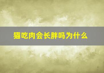 猫吃肉会长胖吗为什么