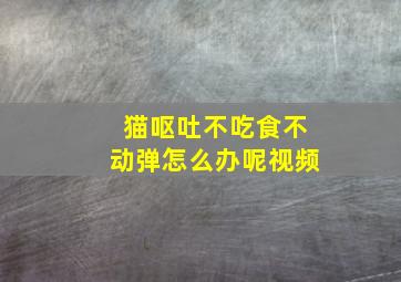 猫呕吐不吃食不动弹怎么办呢视频