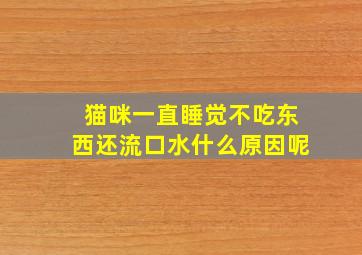 猫咪一直睡觉不吃东西还流口水什么原因呢