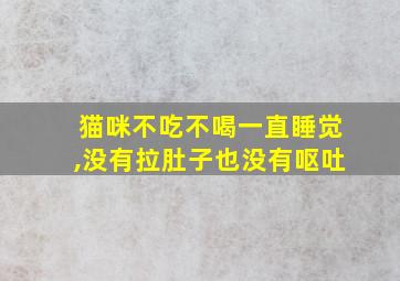 猫咪不吃不喝一直睡觉,没有拉肚子也没有呕吐