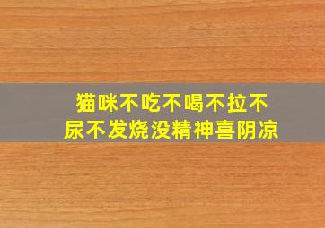 猫咪不吃不喝不拉不尿不发烧没精神喜阴凉