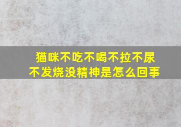 猫咪不吃不喝不拉不尿不发烧没精神是怎么回事