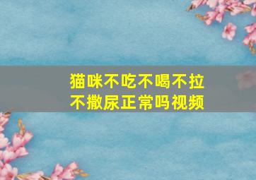 猫咪不吃不喝不拉不撒尿正常吗视频