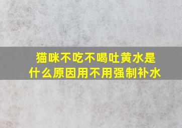 猫咪不吃不喝吐黄水是什么原因用不用强制补水