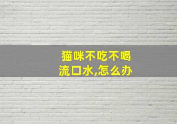 猫咪不吃不喝流口水,怎么办