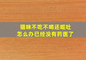 猫咪不吃不喝还呕吐怎么办已经没有药医了