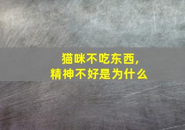 猫咪不吃东西,精神不好是为什么