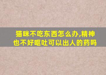 猫咪不吃东西怎么办,精神也不好呕吐可以出人的药吗