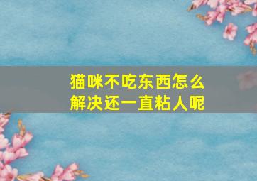 猫咪不吃东西怎么解决还一直粘人呢