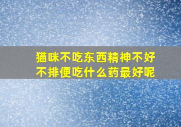 猫咪不吃东西精神不好不排便吃什么药最好呢