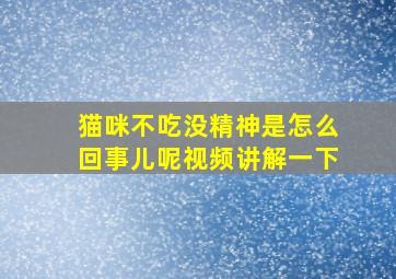 猫咪不吃没精神是怎么回事儿呢视频讲解一下