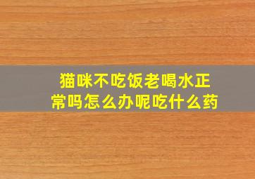 猫咪不吃饭老喝水正常吗怎么办呢吃什么药