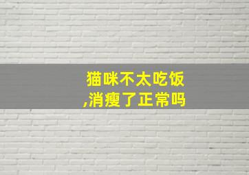 猫咪不太吃饭,消瘦了正常吗