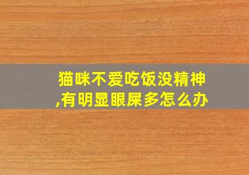 猫咪不爱吃饭没精神,有明显眼屎多怎么办