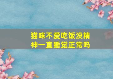 猫咪不爱吃饭没精神一直睡觉正常吗