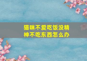 猫咪不爱吃饭没精神不吃东西怎么办