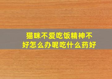 猫咪不爱吃饭精神不好怎么办呢吃什么药好