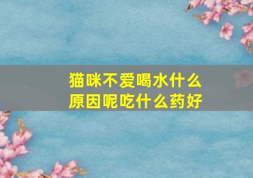 猫咪不爱喝水什么原因呢吃什么药好