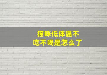 猫咪低体温不吃不喝是怎么了