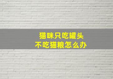 猫咪只吃罐头不吃猫粮怎么办