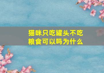 猫咪只吃罐头不吃粮食可以吗为什么