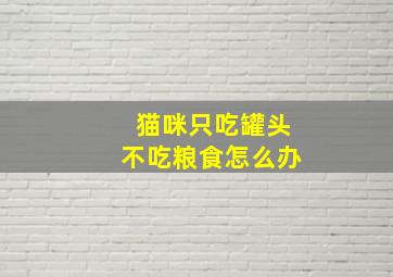 猫咪只吃罐头不吃粮食怎么办