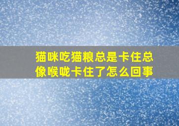 猫咪吃猫粮总是卡住总像喉咙卡住了怎么回事