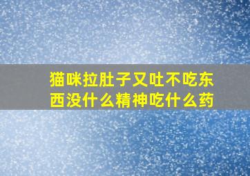 猫咪拉肚子又吐不吃东西没什么精神吃什么药