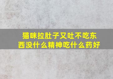 猫咪拉肚子又吐不吃东西没什么精神吃什么药好