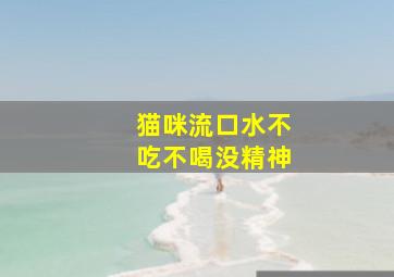 猫咪流口水不吃不喝没精神